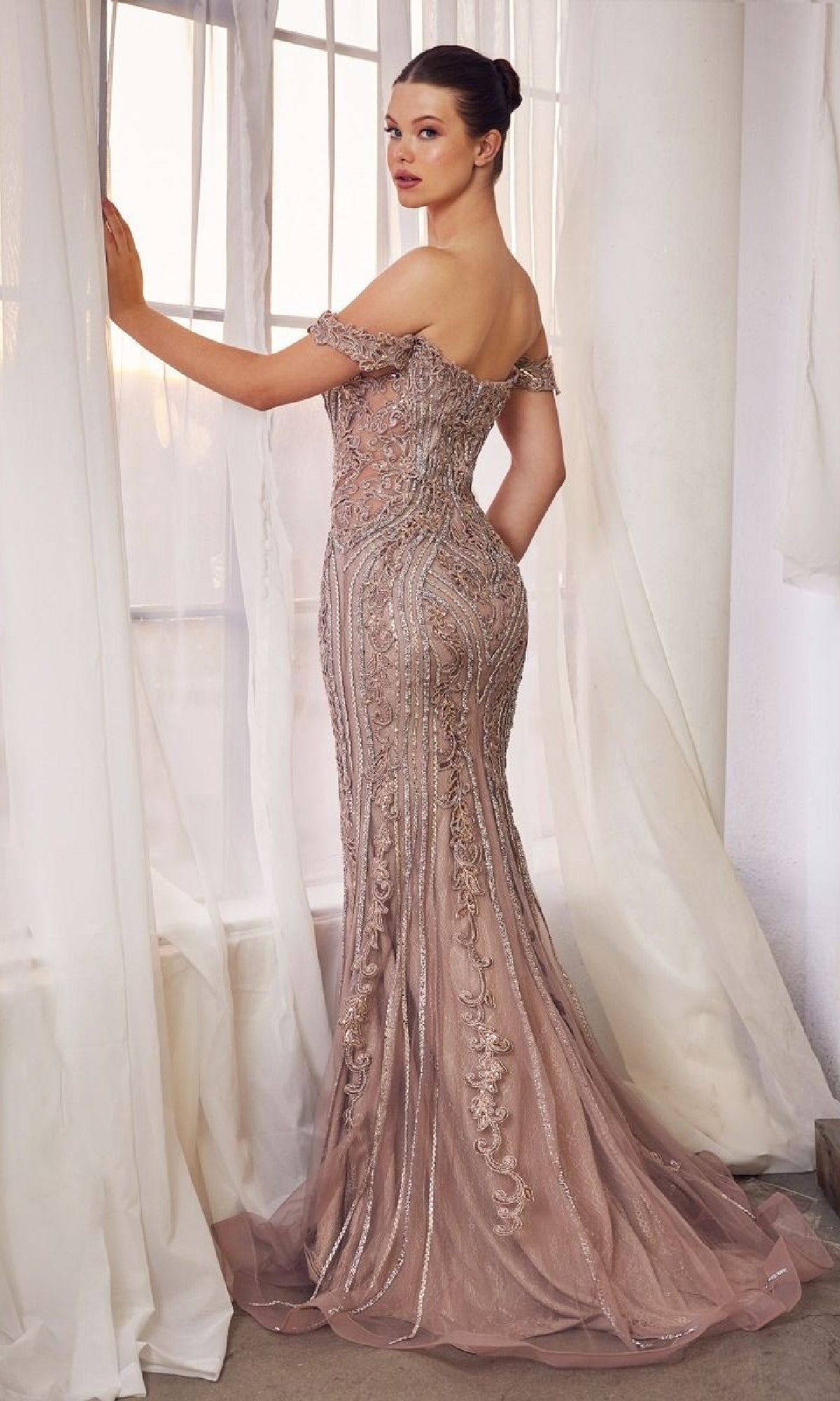 Formal Long Dress A1257 By Andrea and Leo