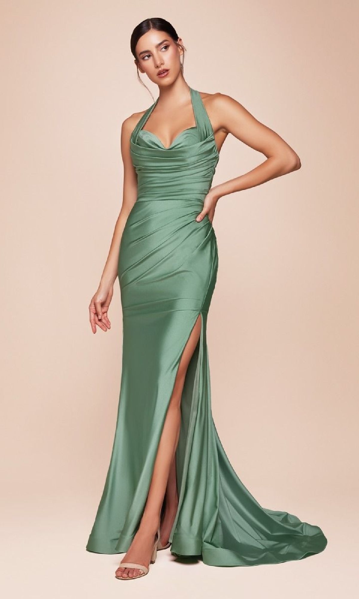 Ladivine Long Formal Dress CD796