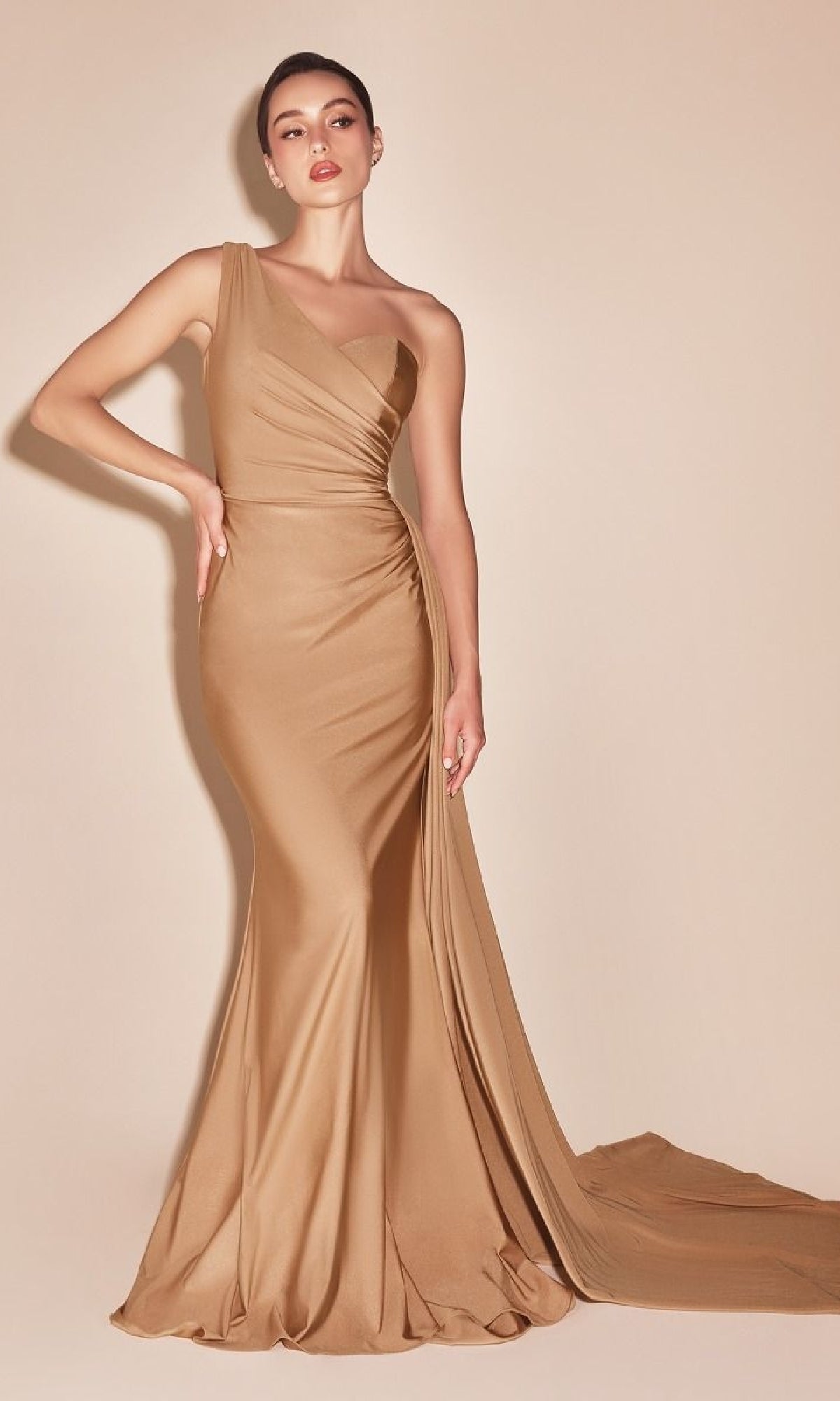 Formal Long Dress PT004 By Ladivine